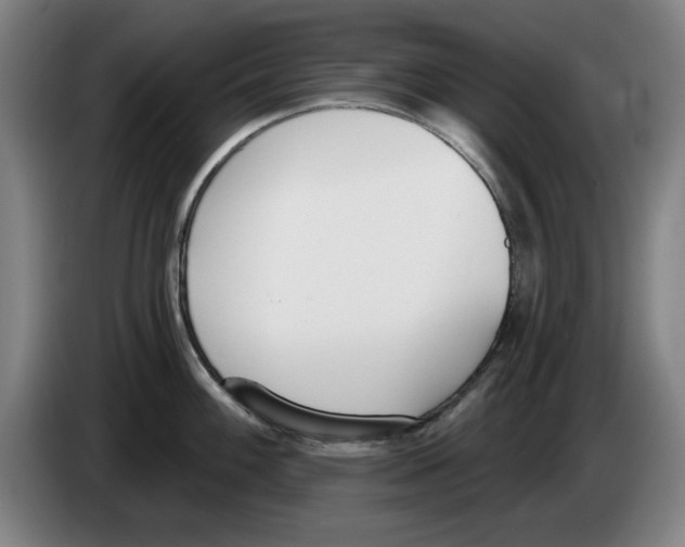 X0000083531100200703091507