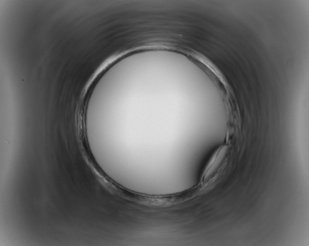 X0000083531101200703091507