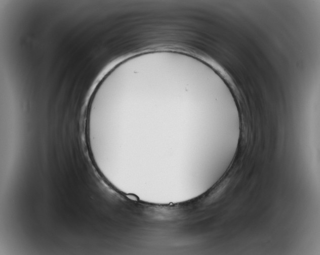 X0000083531102200703091507