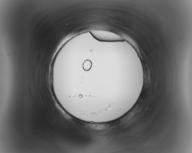 X0000083531103200703091507