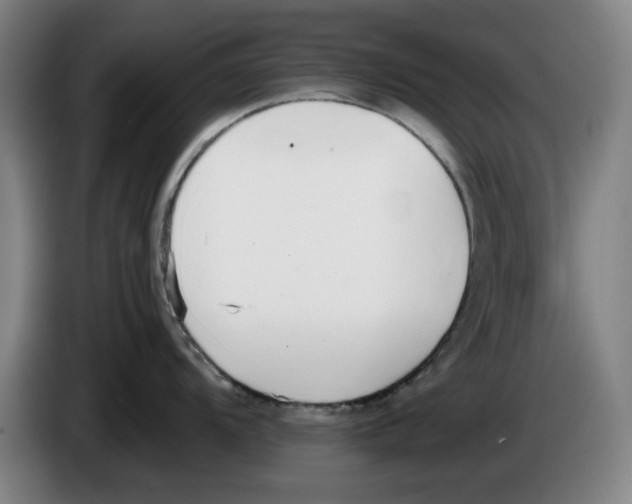 X0000083531104200703091507