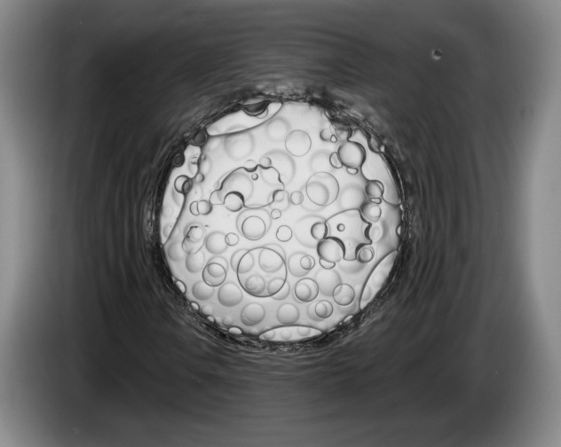 X0000083531106200703091506