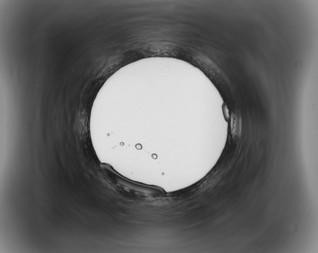 X0000083531107200703091506