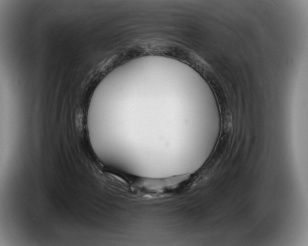 X0000083531108200703091506