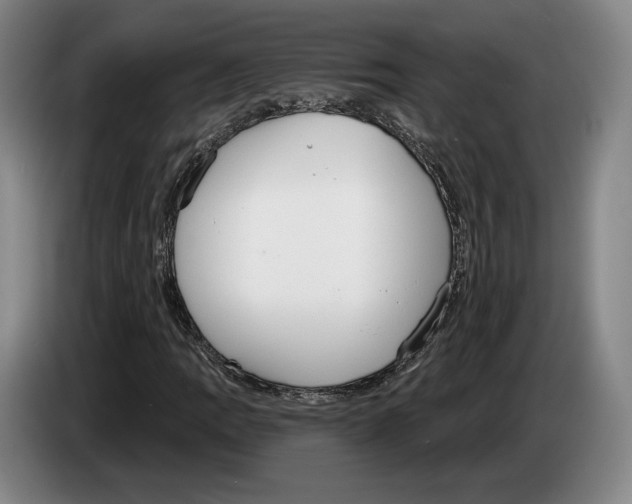 X0000083531109200703091506