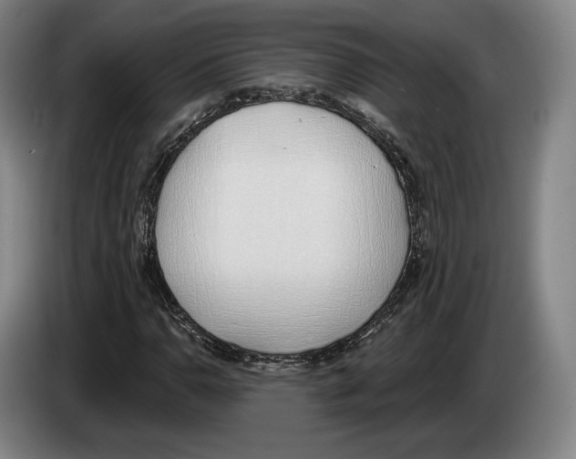 X0000083531110200703091506