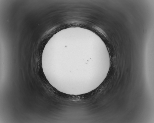 X0000083531111200703091506