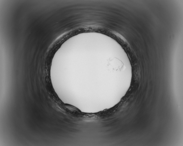 X0000083531112200703091506