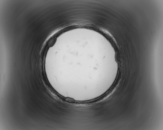 X0000083531114200703091506