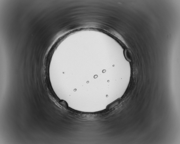 X0000083531116200703091506