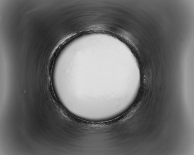 X0000083531117200703091506