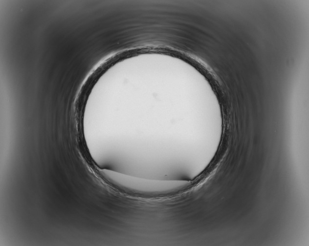 X0000083531118200703091506