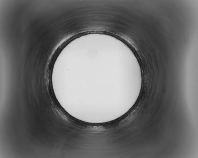 X0000083531119200703091506