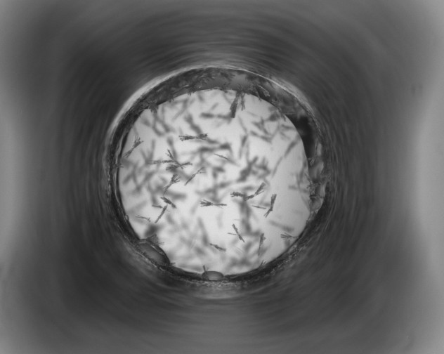 X0000083531120200703091506