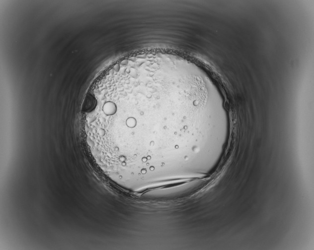 X0000083531121200703091506