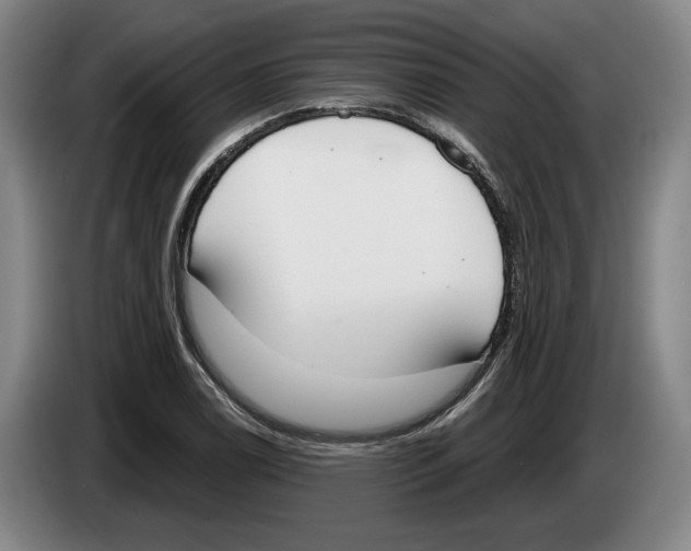 X0000083531122200703091506