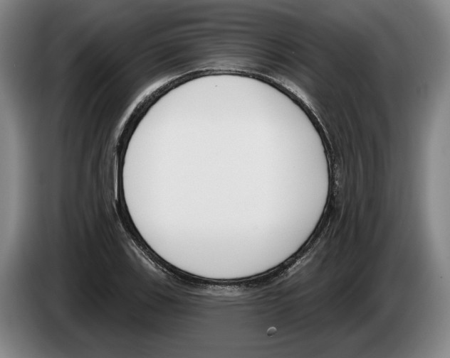 X0000083531123200703091506