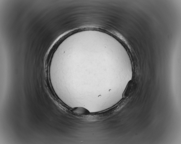 X0000083531124200703091506