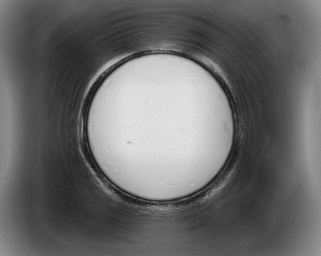 X0000083531125200703091506