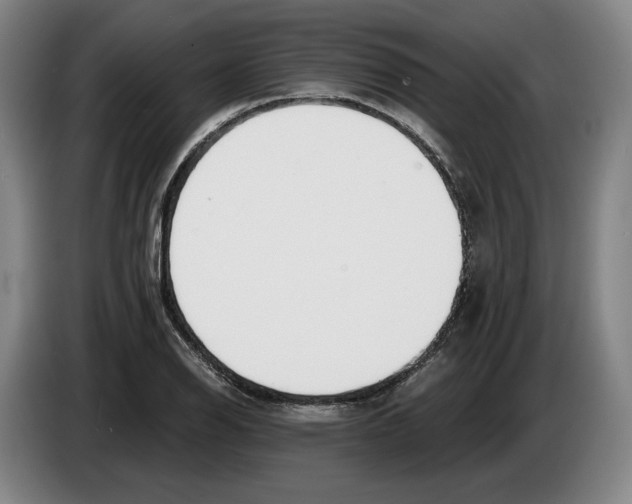 X0000083531126200703091506