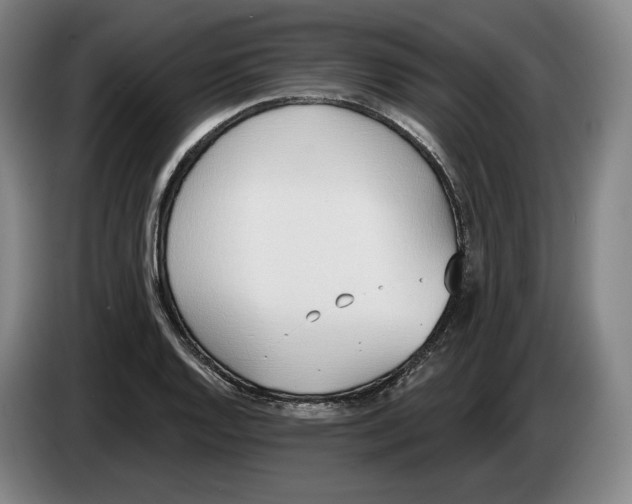 X0000083531128200703091506