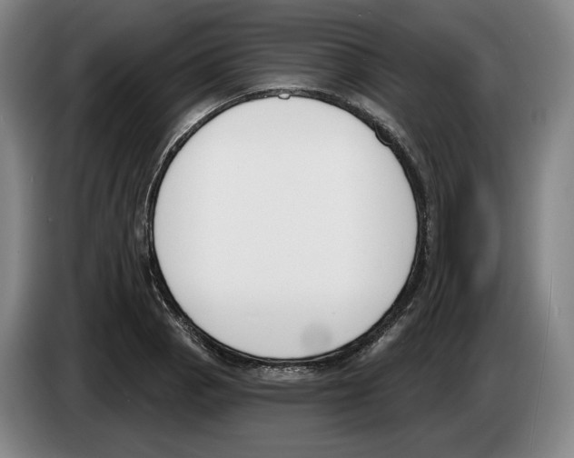 X0000083531129200703091506