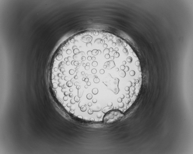 X0000083531130200703091506