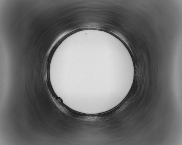 X0000083531131200703091506