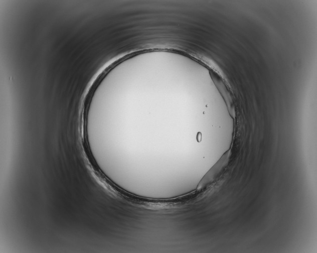 X0000083531132200703091506