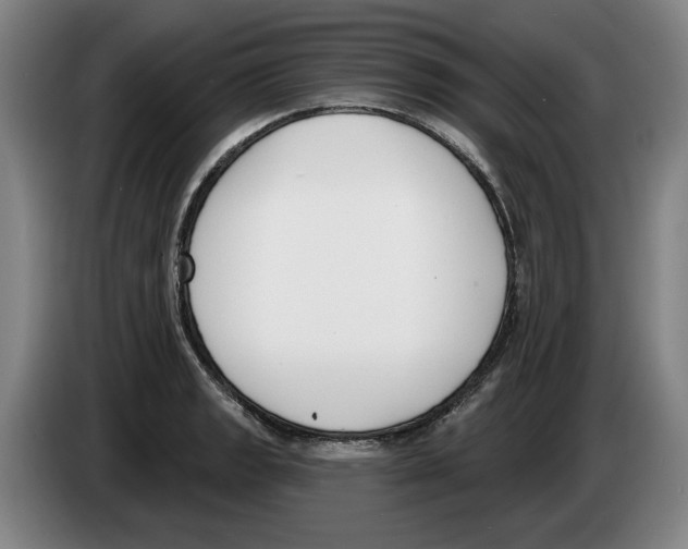 X0000083531133200703091506