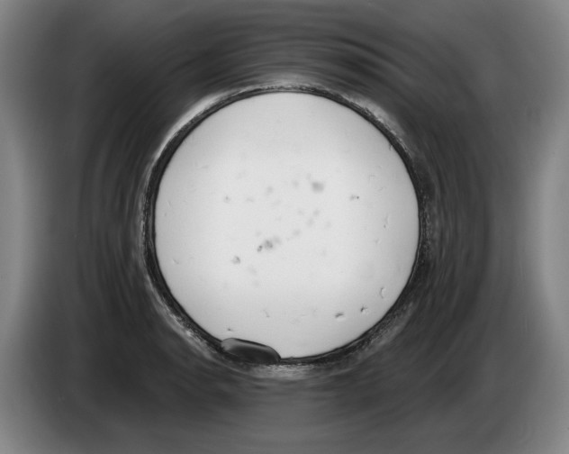 X0000083531134200703091506