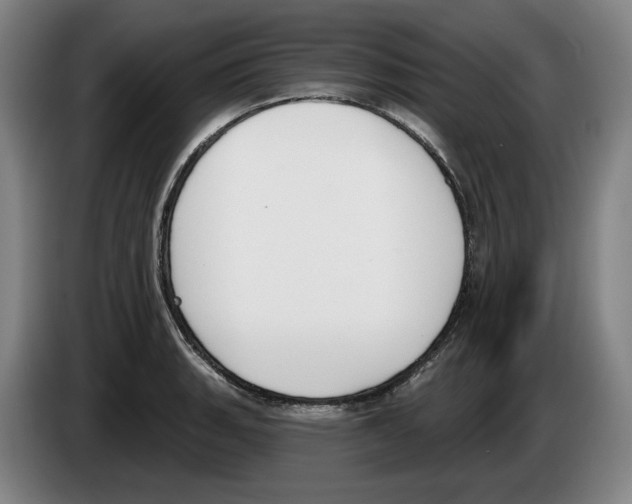 X0000083531135200703091506