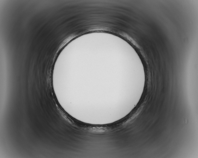 X0000083531137200703091506