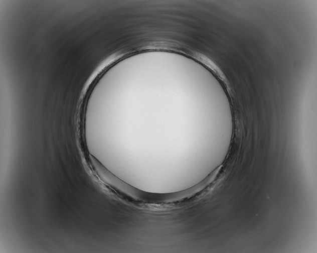 X0000083531138200703091506