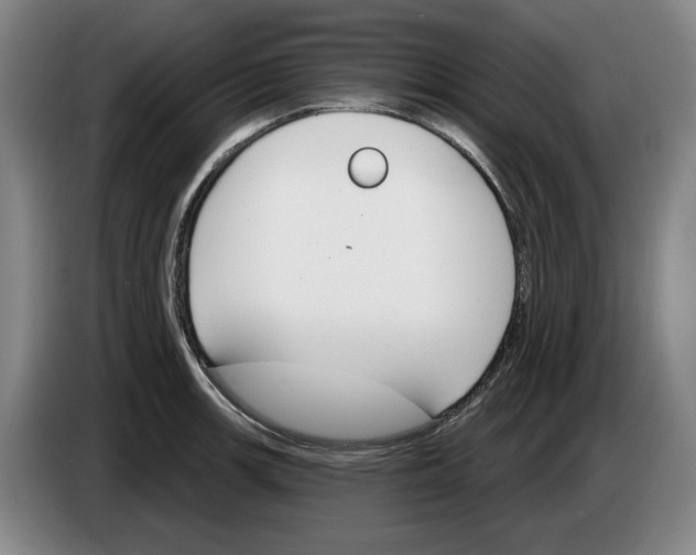 X0000083531139200703091506