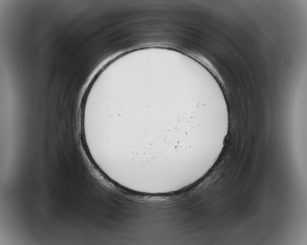 X0000083531140200703091506