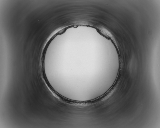 X0000083531141200703091506