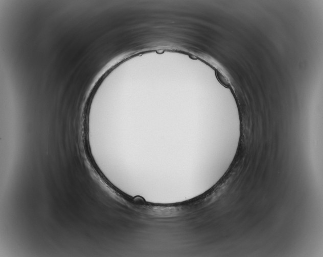 X0000083531142200703091506