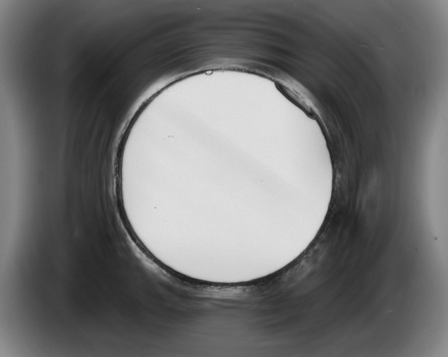 X0000083531143200703091506