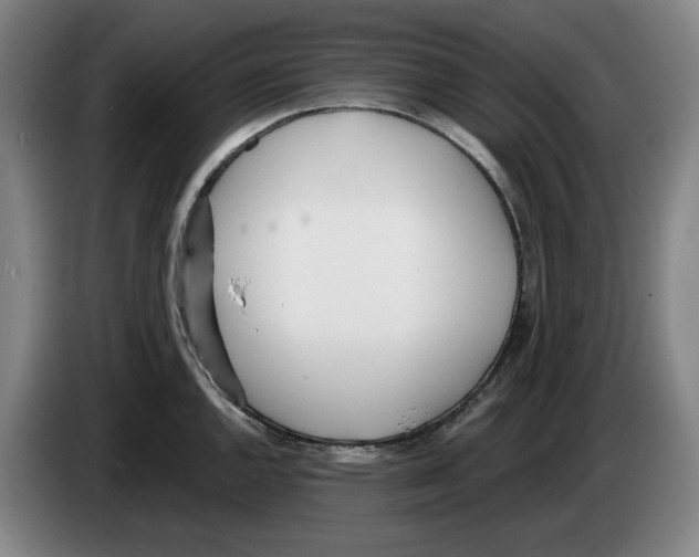 X0000083531144200703091506