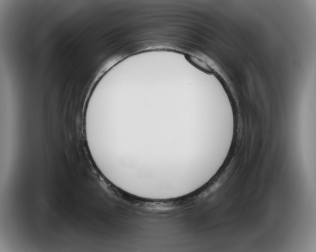 X0000083531145200703091506