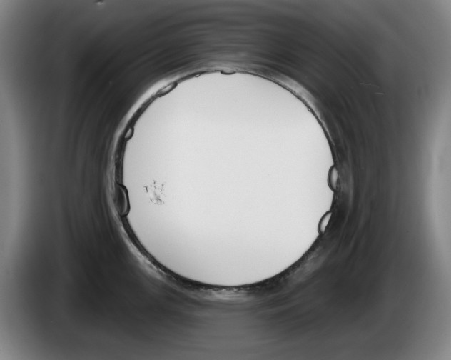 X0000083531147200703091506