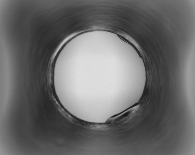 X0000083531148200703091506