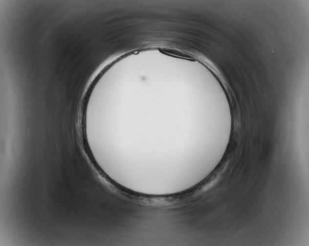 X0000083531149200703091506