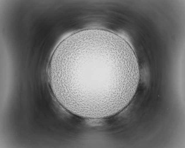 X0000083531150200703091506