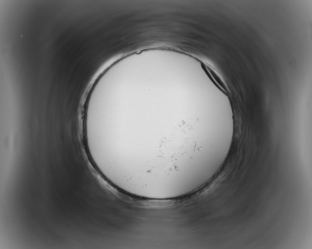 X0000083531151200703091506