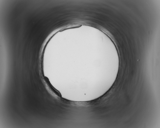 X0000083531152200703091507