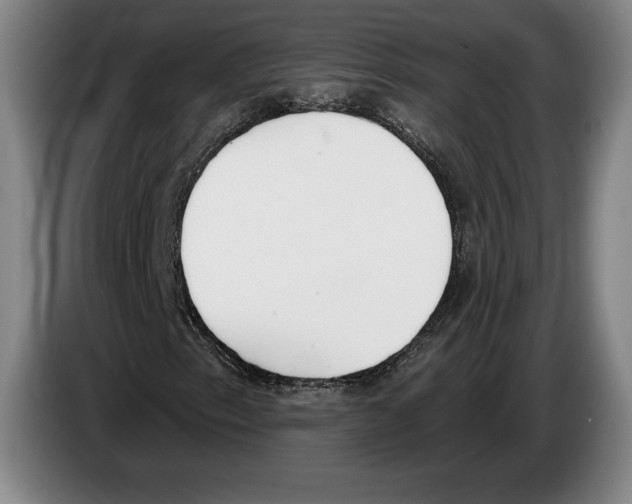 X0000083531153200703091506