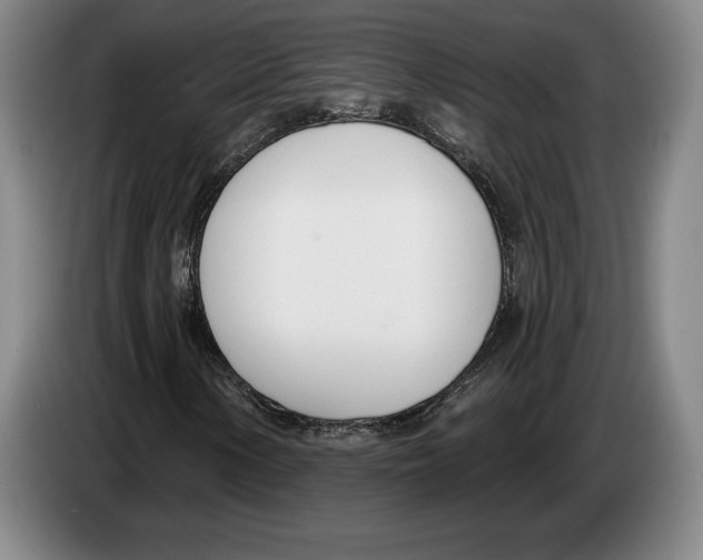 X0000083531154200703091506