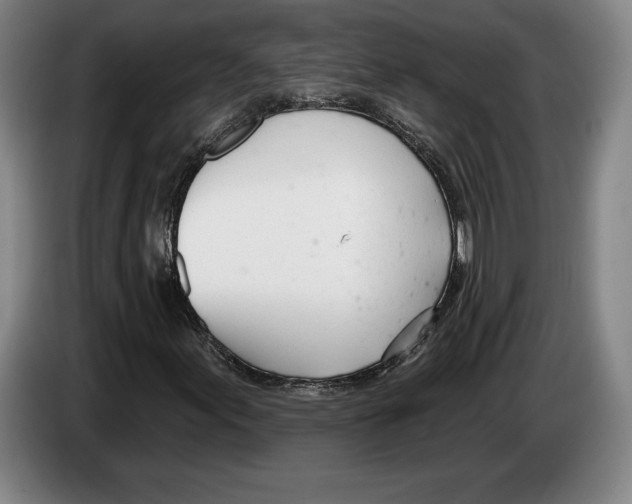 X0000083531155200703091506